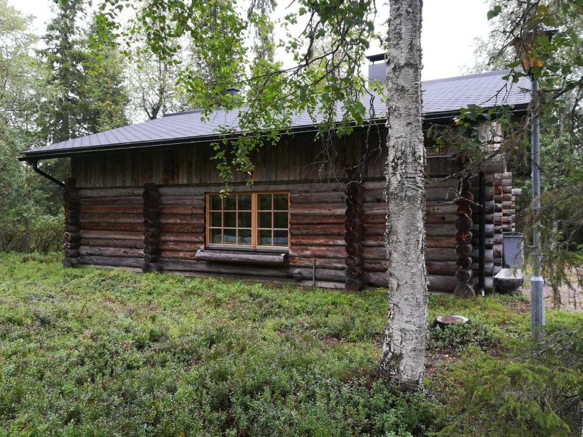 Villa Logwood Restamaja Luosto